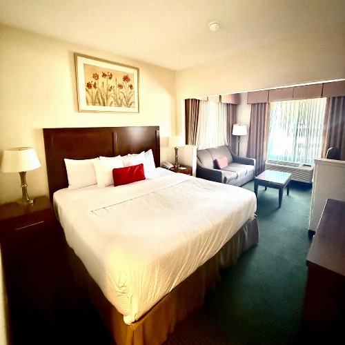 Ramada by Wyndham Denver International Airport - image 36