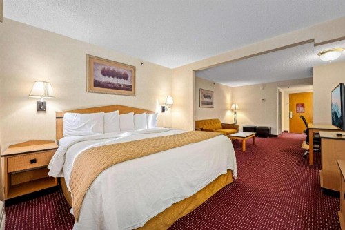 AmericInn by Wyndham Denver Airport - image 21