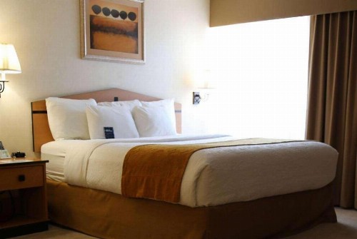 AmericInn by Wyndham Denver Airport - image 22