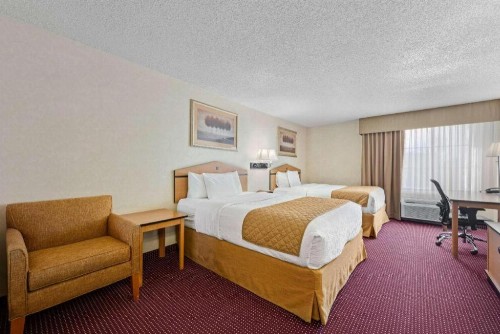 AmericInn by Wyndham Denver Airport - image 24