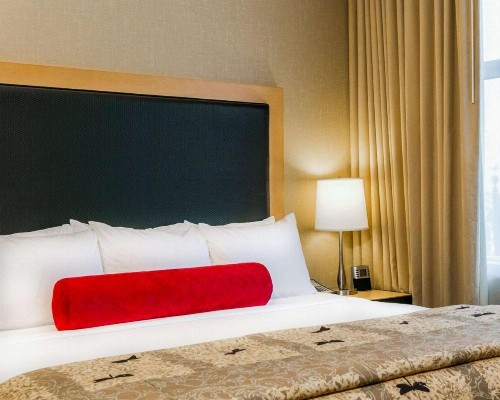 Cambria Hotel Denver International Airport - image 41