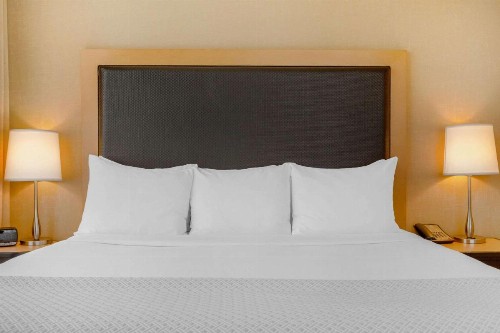 Cambria Hotel Denver International Airport - image 45