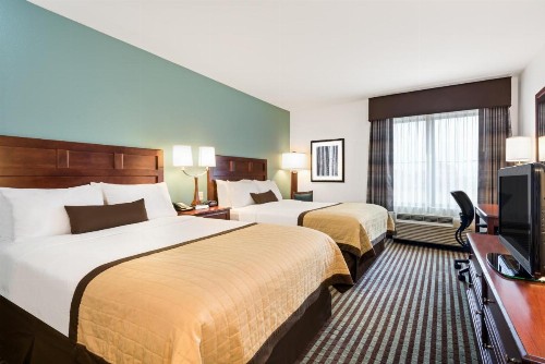 Baymont by Wyndham Denver International Airport - image 4
