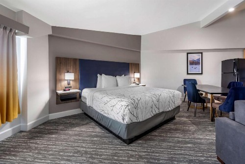 Best Western Premier Denver East - image 20
