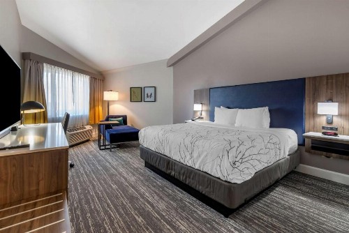 Best Western Premier Denver East - image 27