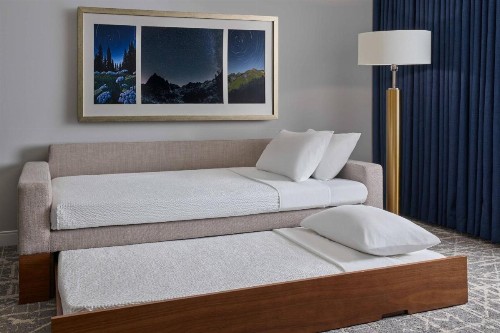 SpringHill Suites by Marriott Denver Downtown - image 31