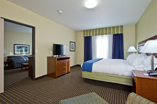 Holiday Inn Express and Suites Denver East Peoria Street an IHG Hotel - image 41