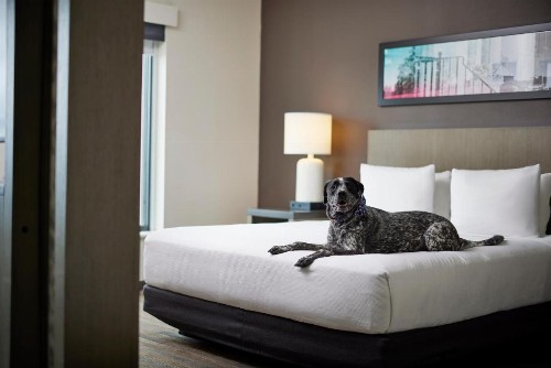 Hyatt House Denver/Downtown - image 31