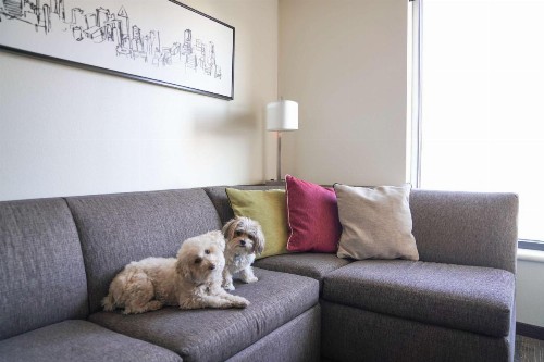 Hyatt House Denver/Downtown - image 37