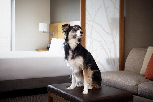 Hyatt Place Denver Downtown - image 38
