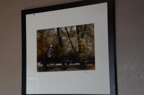 Off Broadway B & B - image 16
