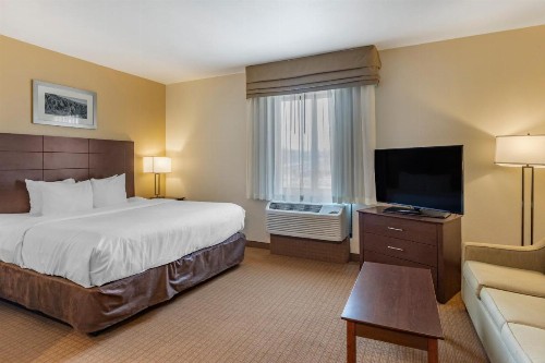 MainStay Suites Near Denver Downtown - image 10