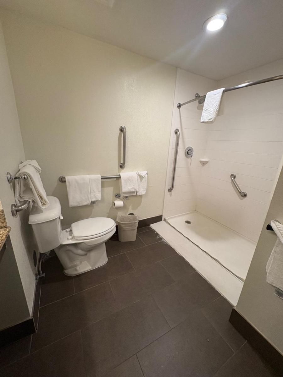 MainStay Suites Near Denver Downtown - image 2
