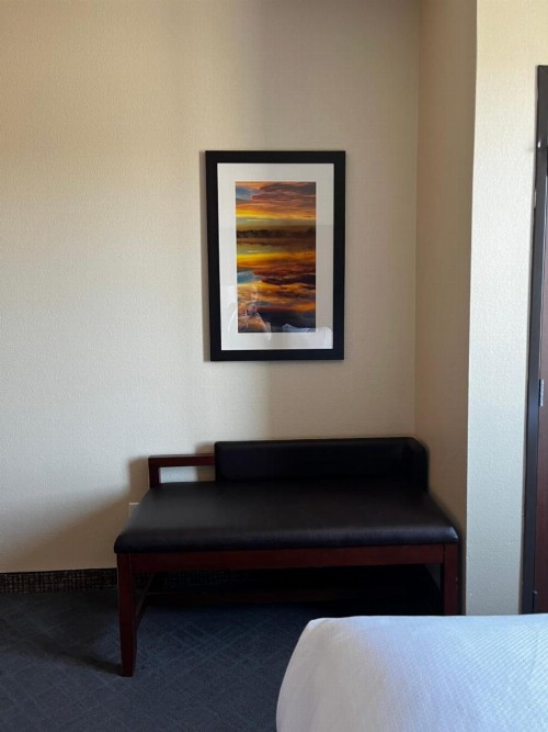 Comfort Suites Denver International Airport - image 29