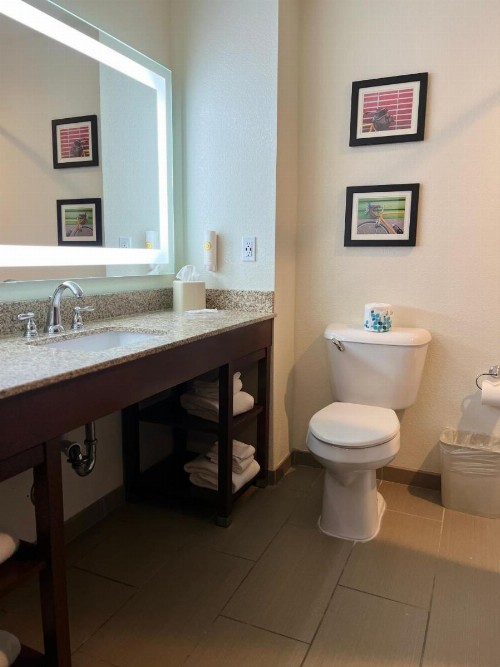 Comfort Suites Denver International Airport - image 44