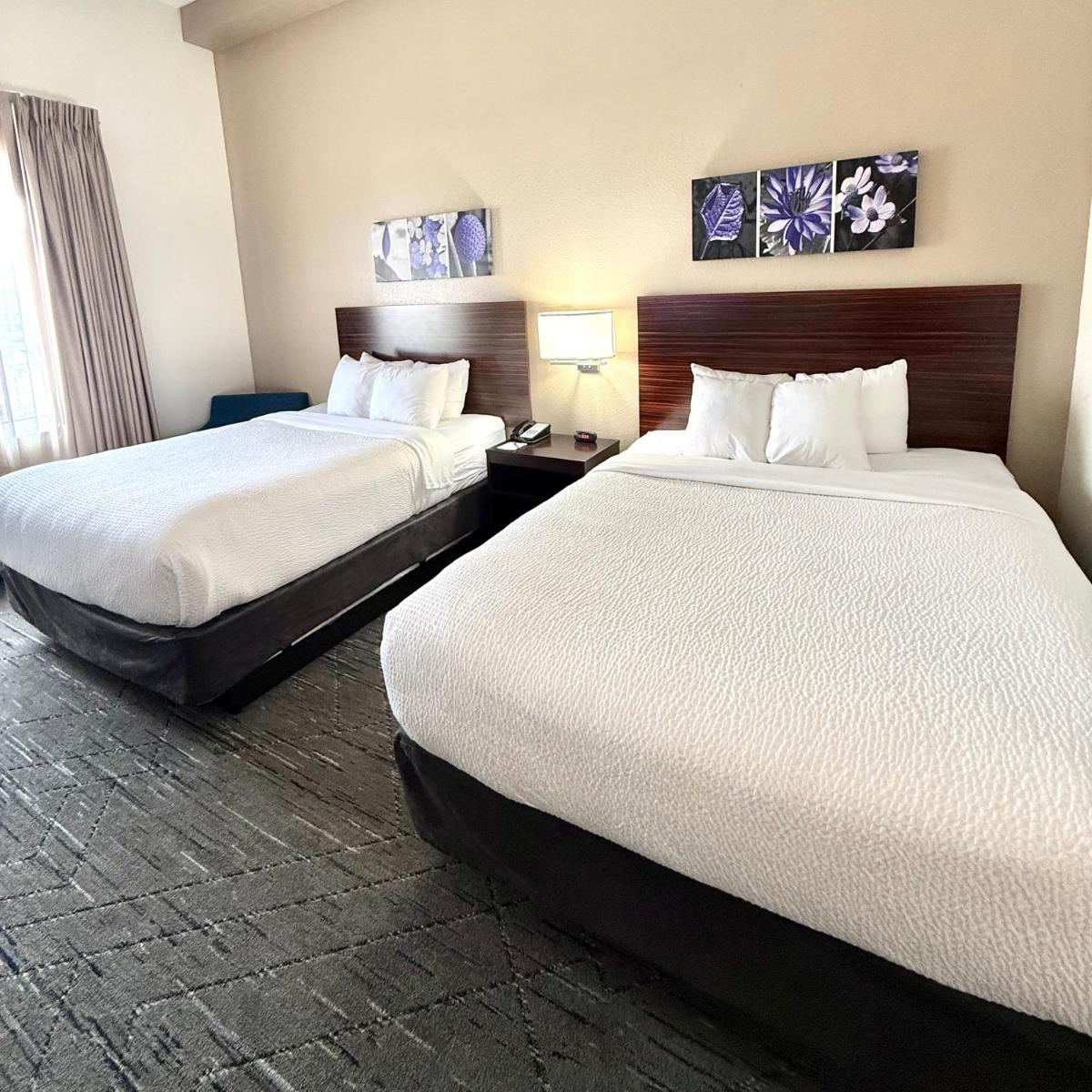 Sleep Inn & Suites Denver International Airport - image 3