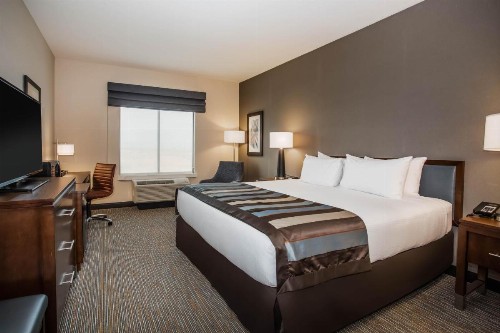 Wingate by Wyndham Denver Airport - image 11