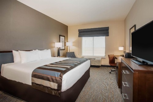 Wingate by Wyndham Denver Airport - image 14