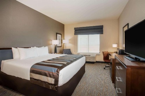 Wingate by Wyndham Denver Airport - image 26