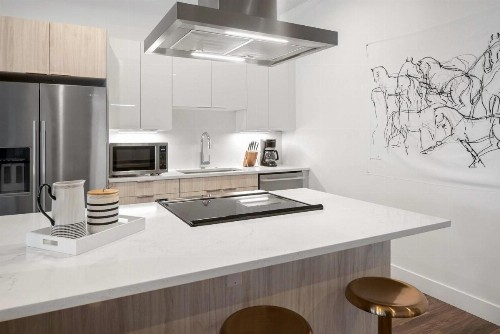 New Sleek Urban Cowboy Loft! Denver Skyline Views! - image 11