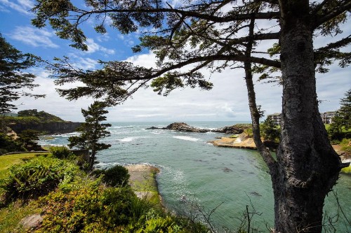 Pirate Cove Cottage 2 - image 6