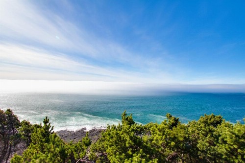 Whale Vista - image 4