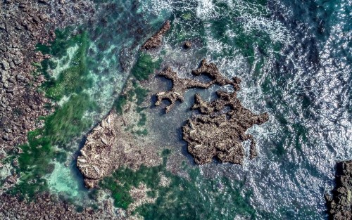 Mertini - image 6