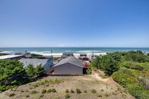 A Whale of a View! - image 12