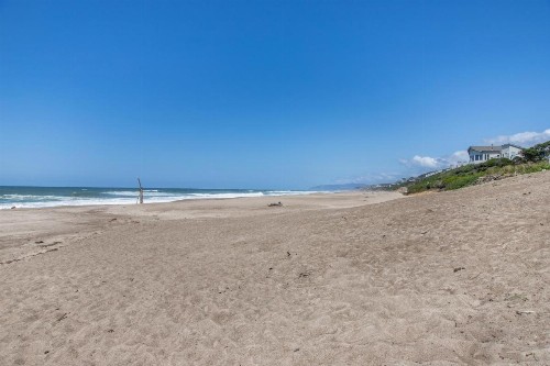A Whale of a View! - image 6