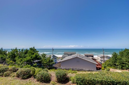 A Whale of a View! - image 7