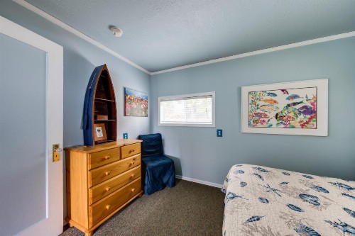 Kiwi's Cottage - image 7