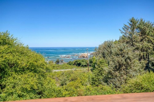 Whale Watch Lookout - image 30