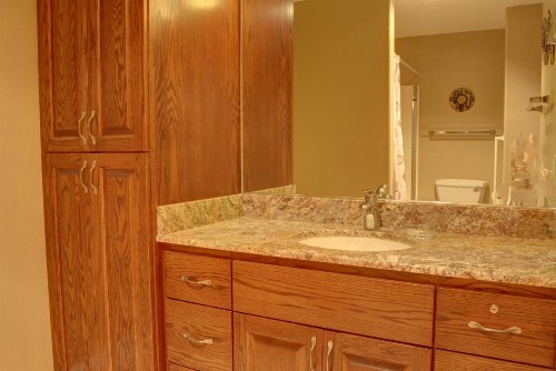 Bay Echo - image 5