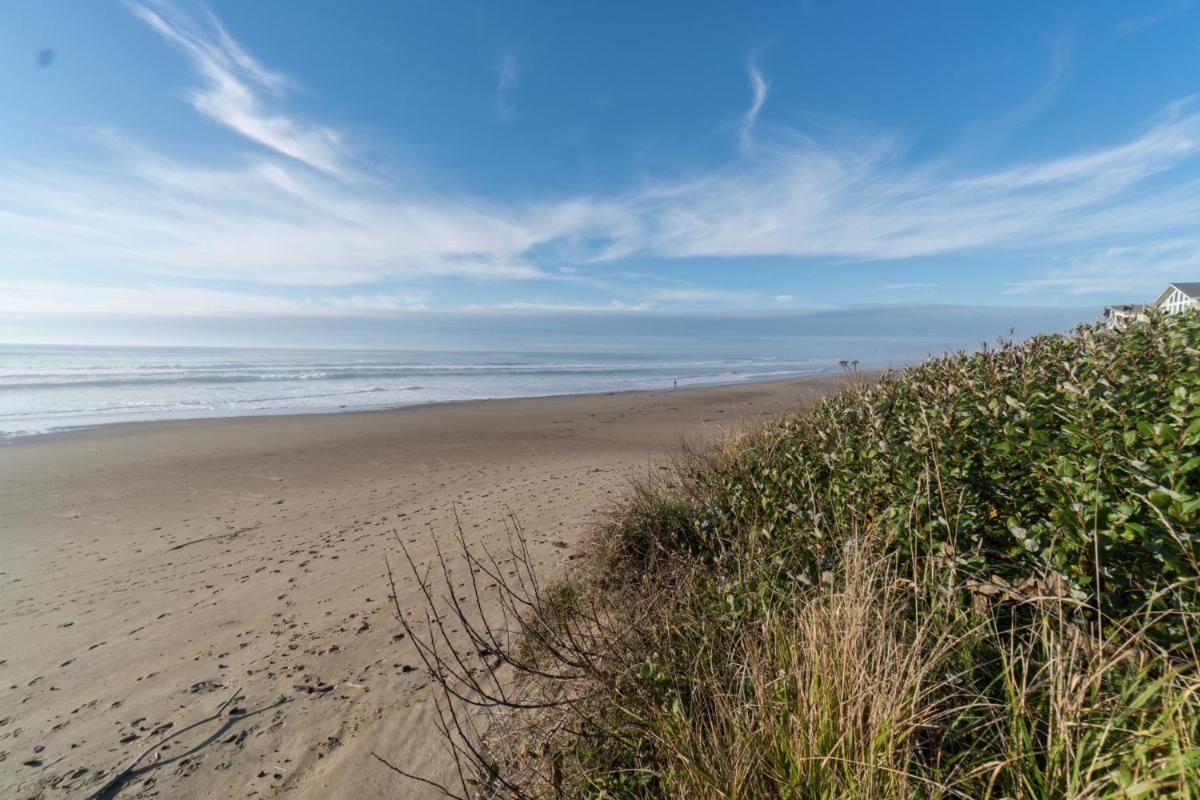 Oceanfront Oasis - image 7