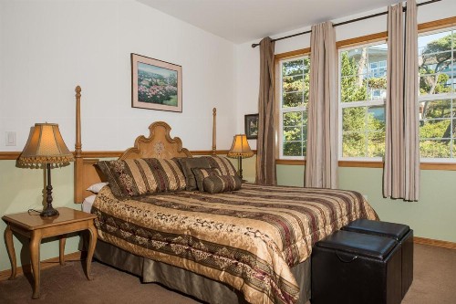 Sheltering Pines - image 10