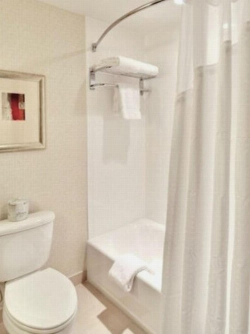 Holiday Inn Des Moines-Downtown-Mercy Campus an IHG Hotel - image 15