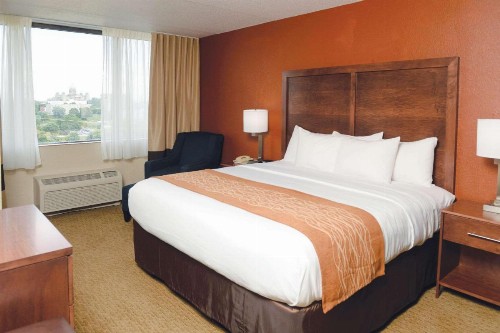 Comfort Inn & Suites Event Center - image 7