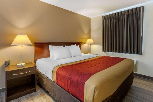 Econo Lodge Inn & Suites Fairgrounds - image 12