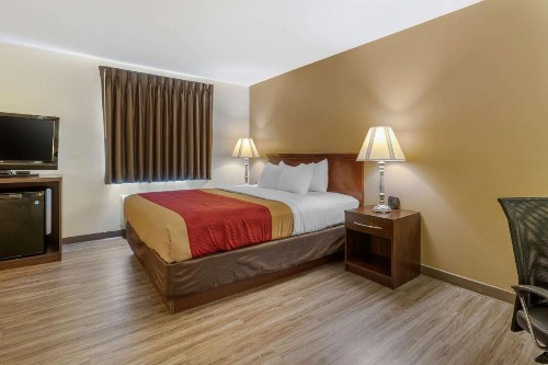 Econo Lodge Inn & Suites Fairgrounds - image 19