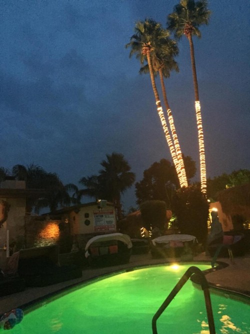 Sea Mountain Nude Resort & Spa Hotel - Adults Only - image 16