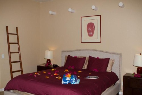 Sea Mountain Nude Resort & Spa Hotel - Adults Only - image 47