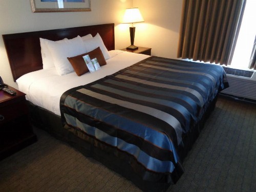 Wingate by Wyndham Destin - image 32