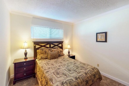 Gulf Terrace 260 - image 12