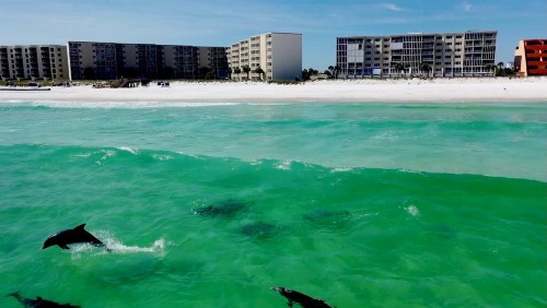 Holiday Surf and Racquet Club 403 condo - image 1