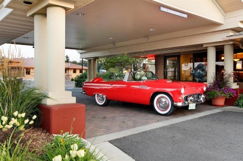 Best Western Plus Holland House - image 1