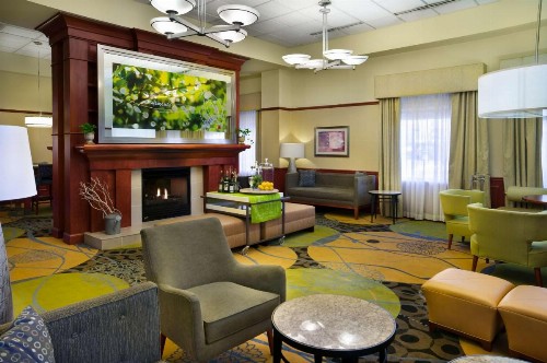 Hilton Garden Inn Detroit Downtown - image 2