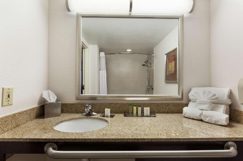 DoubleTree by Hilton Dearborn - image 28