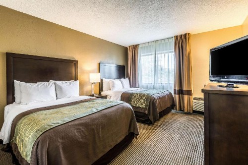 Comfort Inn Downtown Detroit - image 11