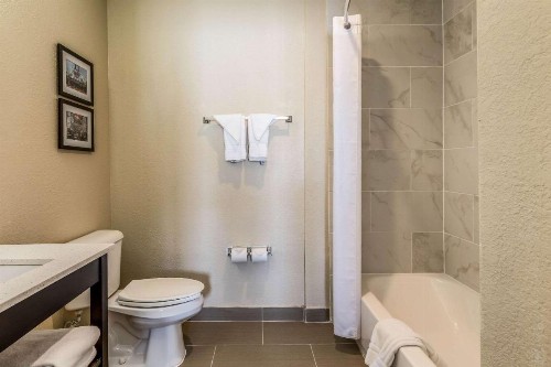 Comfort Inn Downtown Detroit - image 17