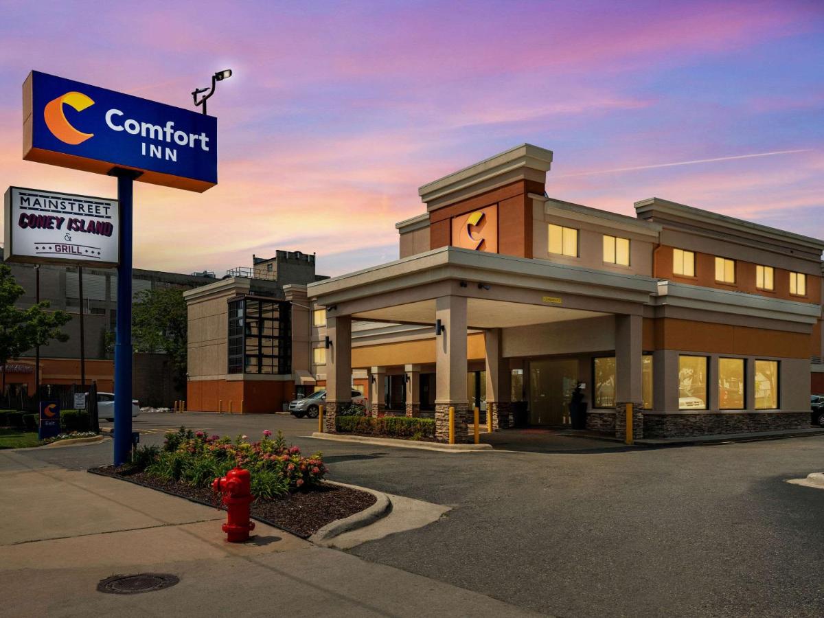 Comfort Inn Downtown Detroit - image 4